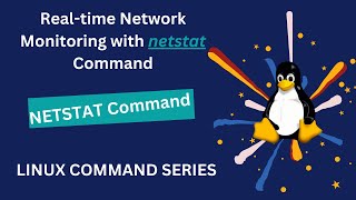 Realtime Network Monitoring with netstat Command netsat command devopsworld [upl. by Pilihp624]