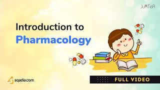 Introduction to Pharmacology  Pharmacokinetics and Pharmacodynamics Basics [upl. by Noived]