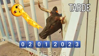 TOROS2️⃣0️⃣2️⃣3️⃣🐂▶️ BARRIO FÁTIMA TARDE DE LA GANADERÍA CAPOTA✅️ bousalcarrer toros capota [upl. by Ahsimrac]