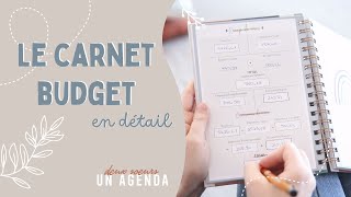 Carnet Budget loutil parfait pour faire son budget sur du papier  Deux Soeurs Un Agenda [upl. by Dempster]