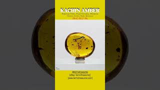 Kachin Amber Burmite Inclusions and Stressinduced Birefringence [upl. by Anirtac352]