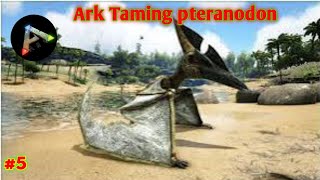 Ark taming pteranodon easyGameplay5viralvideo [upl. by Aneehsirk490]