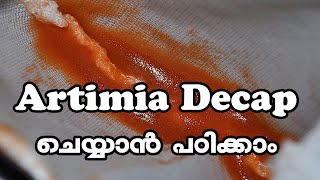 how to decapsulation of artemia cysts in malayalamആർട്ടിമിയ ഡീക്വാപ് ചെയ്യാംEp18 [upl. by Mycah713]