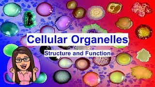 General Biology 1 Week 1  Cellular Organelles [upl. by Nythsa]