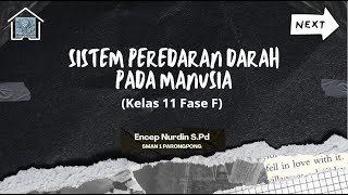 Sistem Peredaran Darah pada Manusia Biologi Kelas 11 Fase F [upl. by Ahsam933]