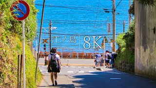 【青春が似合う海の街】江ノ島の絶景スポット10選  JAPAN in 8K [upl. by Norrehc]