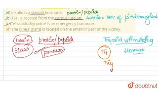 Correct the following statements by replacing the underlined term  a Insulin is a steroid hor [upl. by Bachman]