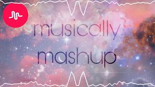 Musically Mashup  love critic [upl. by Worsham]