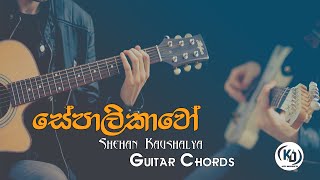 Sepalikawo සේපාලිකාවෝ  Sheshan Kaushalya  Guitar Chords By KD Musics [upl. by Acemat204]