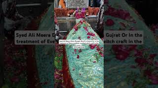 New mira datar dargah qawwali video 2024 WhatsApp status [upl. by Neda]