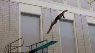 Carnegie Mellon Diving Invitational Highlights  2024 [upl. by Airretnahs]