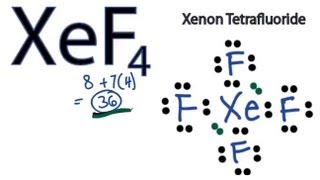 XeF4 Lewis Structure  How to Draw the Lewis Structure for XeF4 [upl. by Melody429]