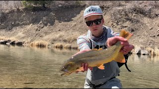 Uncompahgre River Fly Fishing [upl. by Alyaj]