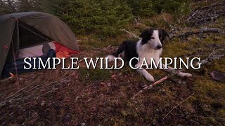 Late Autumn Wild Camp with my Older Brother [upl. by Yednarb]