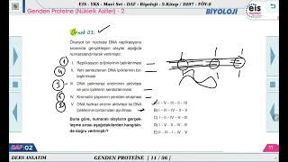 Mavi Set Biyoloji 3  Genden Proteine Genetik Şifre Protein Sentezi  2 🔬 [upl. by Gnirps443]