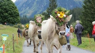 Alpabzug Klosters 14092013 [upl. by Martin]