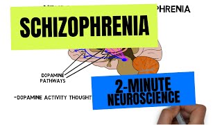 2Minute Neuroscience Schizophrenia [upl. by Gelb]