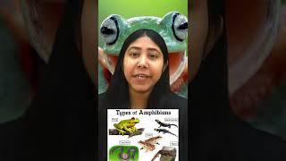 Class Amphibia  Characteristics and Examples  Tetrapod Animal  Biology  Class11  Adhyayanta [upl. by Konstance264]