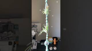 Handmade air plant hanger  suncatcher  💚 [upl. by Wilden169]