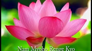 Gongyo with Lyrics and Daimoku Nam myoho renge kyo [upl. by Airaet]