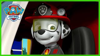 Mais de 1 hora de episódios de resgate do Marshall  Patrulha Pata PAW Patrol Episódio Português [upl. by Massey623]