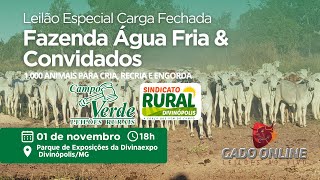 🌟LEILÃO ESPECIAL FAZENDA ÁGUA FRIA amp CONVIDADOS🎥 [upl. by Leuqim218]