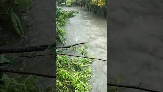 flood bagyongjulianashortvideo pleasesubscribemychannel [upl. by Anul834]