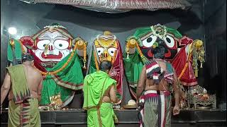 Shri Jagannath Sandhya Arati Darshan 🙏  📅 Date01May2024 [upl. by Eitsyrc]