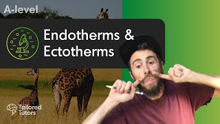 Endotherms amp Ectotherms  A Level Biology  OCR [upl. by Adnoraj]