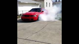 INSANE Burnout Mustang Cobra Terminator  Hear that supercharger whine 😯 SHORTS [upl. by Iden613]