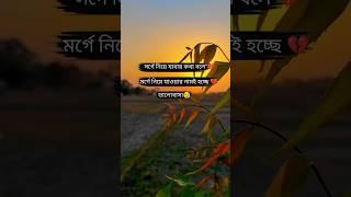 bangla koster tiktok sad tiktok new bangla status tiktok [upl. by Ellenwad]