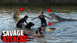 The Most SAVAGE Alligator Attacks MARATHON [upl. by Timmons]