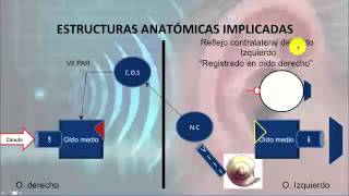 AUDIOMETRIA EM CRIANÇAS como é feito o exame que checa a audição audiometria [upl. by Wally320]