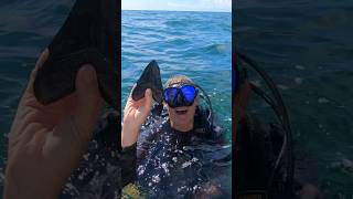 Diver finds Massive Megalodon SHARK tooth in Florida [upl. by Timms]