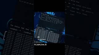 DDos Attack  kali linux  wifi hack youtubeshorts computer programming hacker reels [upl. by Ihteerp]