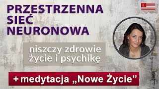 Życie się sypie Zdrowie Brakuje pieniędzy Ustaw Przestrzenną Sieć Neuronową a będzie poprawa [upl. by Poppas713]