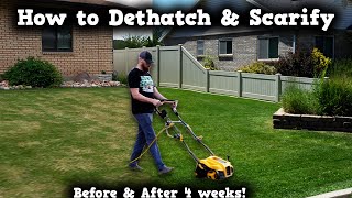 DIY How To DETHATCHING amp SCARIFYING this lawn SAVED IT From brown to green again [upl. by Merl602]