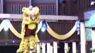 UM Lion Dance Night  Segamat Goh Chor Part 1 [upl. by Beekman763]