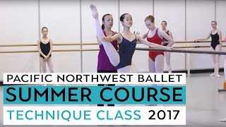 Ballet Technique Class Level VI  PNBs Summer Course 2017 [upl. by Rahcir]