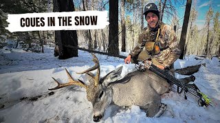 Arizona Archery Coues Deer High Country Snow Hunt [upl. by Eikin]