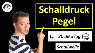 Schalldruckpegel berechnen  Physik Tutorial [upl. by Ttayh333]