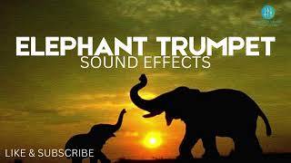 Elephant Trumpet Sound Effects  Free Download [upl. by Cully]