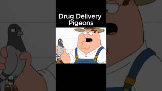 Drug delivery birds🤣 familyguy [upl. by Franny512]