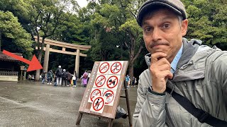 Tokyo Fallout from Vandalism at Meiji Shrine [upl. by Damarra994]