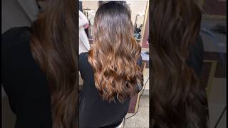 Balayage Technique hairstyle hair balayage shorts short viralvideo viralshort goals colors [upl. by Basso533]