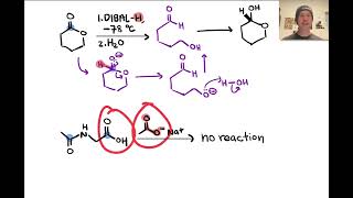 Acylations of Nucleophiles  LTQ 71 Spring 2024 [upl. by Nnorahs]