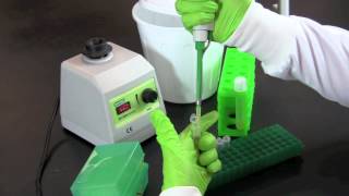 Serial Dilution and Plate Counts [upl. by Newcomb]