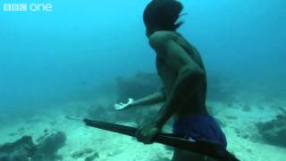 ‪Superhuman Filipino diver from the Badjao tribe BBC [upl. by Hsiekal118]