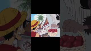 One Piece  Luffy Wtf Moment [upl. by Marge]