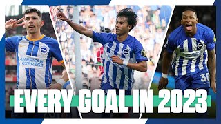 ALL 105 GOALS from 2023  Brighton amp Hove Albion 🔵⚪️ [upl. by Ennaylime]